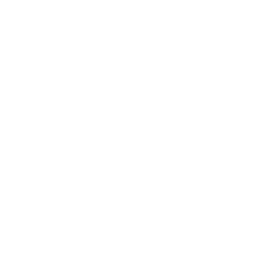 DAVID MATHEW webiste logo